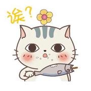 sikichan的个人资料头像