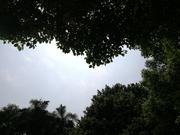 wilburn的个人资料头像