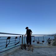 Simon_李先生的个人资料头像