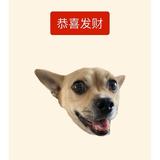 哈喽麻豆89头像