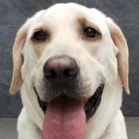 我家有枝花头像