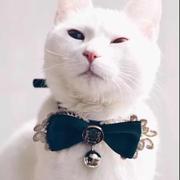 nicchan的个人资料头像