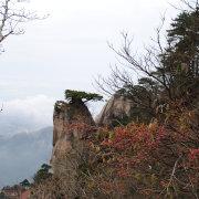 黄油面包的个人资料头像