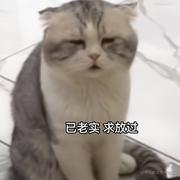 Anonymous_ElysiaLove的个人资料头像