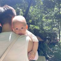 美梦舆热望头像