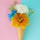 码上生花的个人资料头像