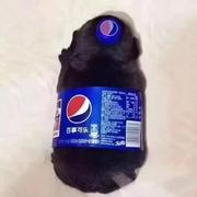 用户5812676932008的个人资料头像