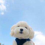 Lucy65的个人资料头像