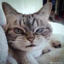 狼同志92205的个人资料头像