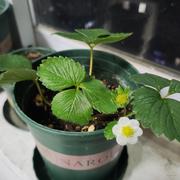 ngwenhe的个人资料头像