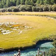 chenweilong的个人资料头像