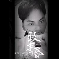 摩天轮二手车头像