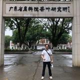 英德红茶英红九号老王头像