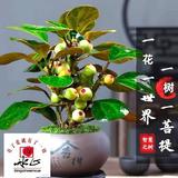 茂林修竹2861头像