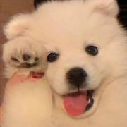 落凡一粒尘的个人资料头像