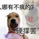 网友小粥粥粥粥 · 迈腾车主·车龄2年头像