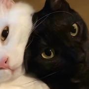 App小程序定制开发的个人资料头像