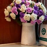 游客7788665544332211头像