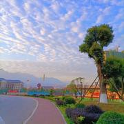 fszlr的个人资料头像