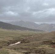 zhuang的个人资料头像