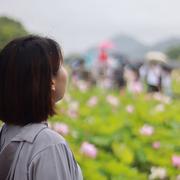 风清月明747的个人资料头像