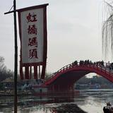 海阔天空任你飞头像