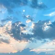 切图后生仔的个人资料头像