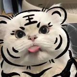 子阳coming头像