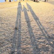 王永明的个人资料头像