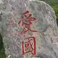 运筹帷幄小鱼NN头像