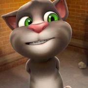 crazyzhoakk0的个人资料头像