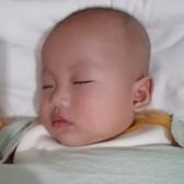 番茄509786571421000头像