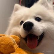 purple的个人资料头像