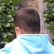 Will876的个人资料头像