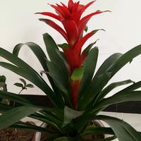 用户80后大叔头像