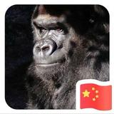 江某500头像