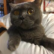 BYEMST的个人资料头像