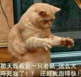 用户5859570206193头像