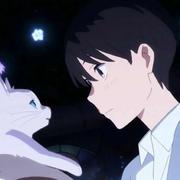 林深雾起618的个人资料头像