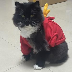 绿水本无忧头像