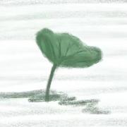 二筒940的个人资料头像