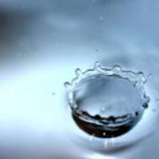 安阳750的个人资料头像