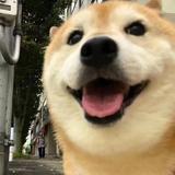 用户494726630090头像