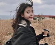 仙女的boy的个人资料头像