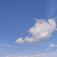 人心换人心66258873头像