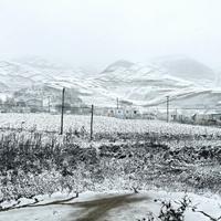 没云没天空头像