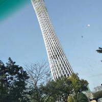 洞察世界观v头像