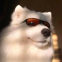 单纯咖啡oju头像