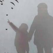 赵晖的个人资料头像