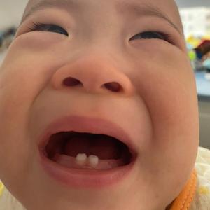 6星头像